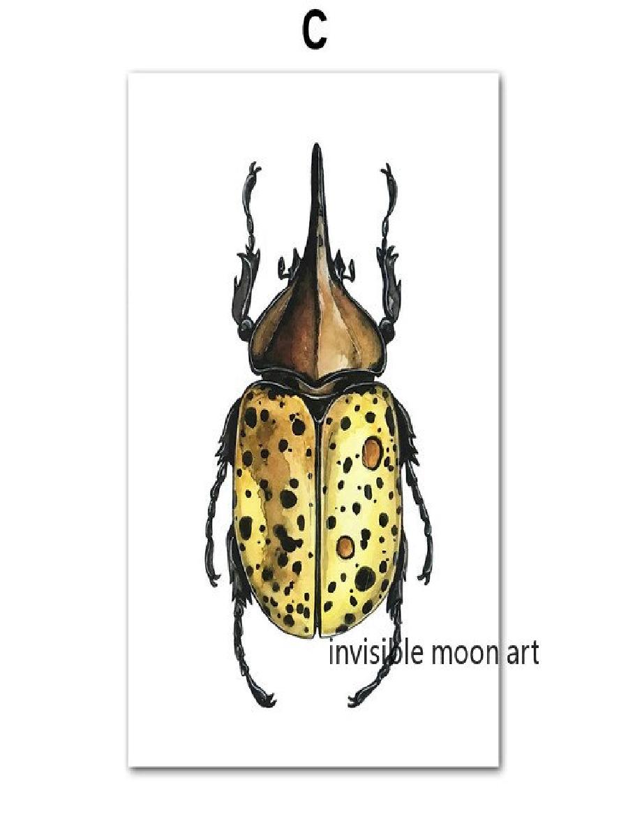 Arte de insectos Vintage, Seri - Vintage Collectible Posters reseña y precio